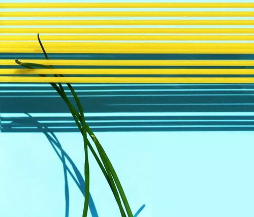 建筑之味 当混凝土与创意交融的文化艺术策划