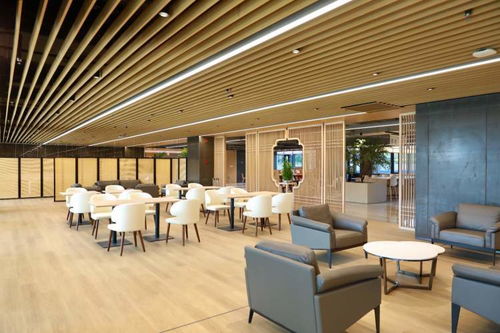 记录时代足迹，绘就千里江山 世纪出版集团十年成果展示与文化艺术交流策划