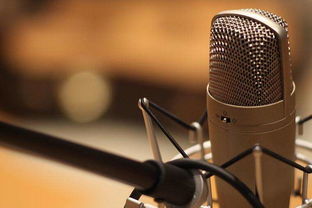 2019深圳文化传媒公司注册指南 聚焦文化艺术交流策划